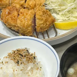 백돈 사진 2