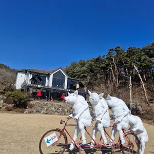 하춘화 보리밥 리뷰 사진