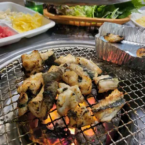 꼬리치는장어 사진