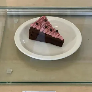 무화 사진