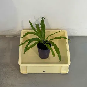 무화 리뷰 사진