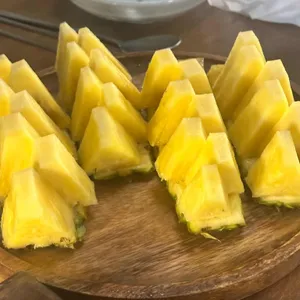 타코코 사진