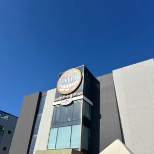청초수물회 리뷰 사진