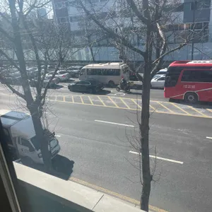 디 피오리 리뷰 사진