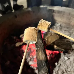 탐앤탐스 사진