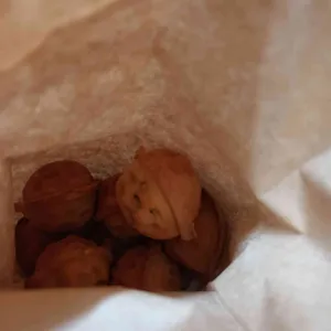 꽈배기마법사 사진