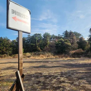 애몬 리뷰 사진