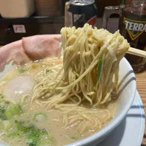 멘지 사진