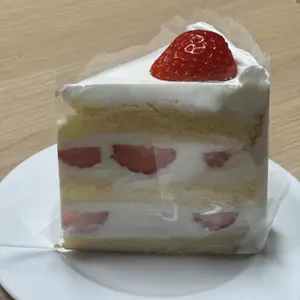 우나돌체 사진