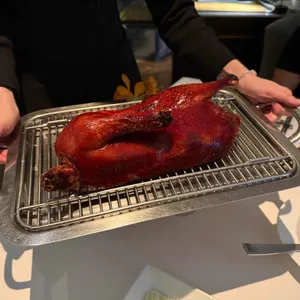 유유안 대표 사진