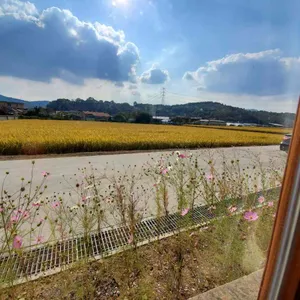 춘소커피 리뷰 사진