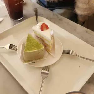 듀자미 사진