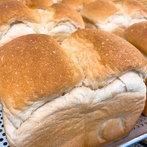 이야빠빵 사진