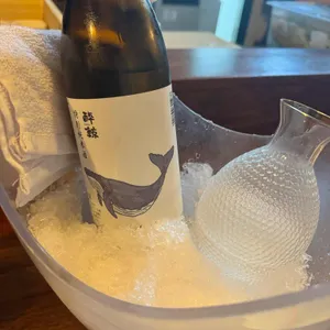 시로미 사진