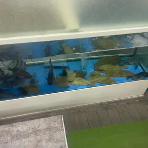 동해회집 사진 2