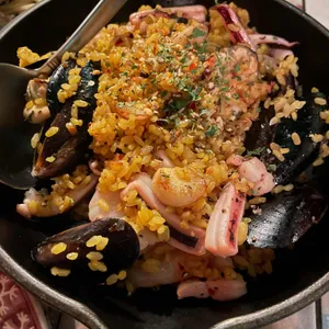 문스 타파 사진