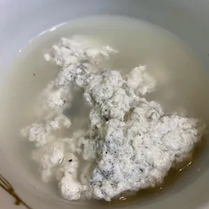 콩대박 사진