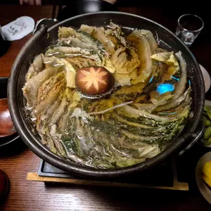 이자카야나무 사진