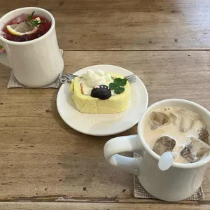 크리미데이지 사진