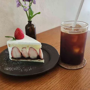오늘의위로 사진