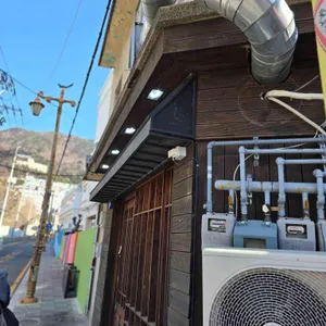 손내향미 사진 2