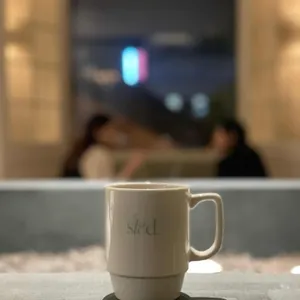 스테드 사진