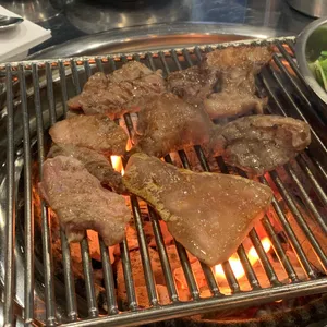 부속갈매기 사진