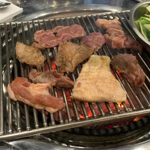 부속갈매기 사진