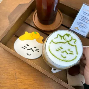 제주냥이 사진