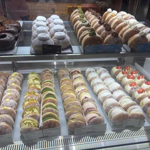 노티드 사진