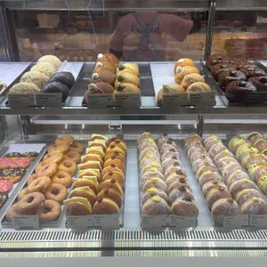노티드 사진