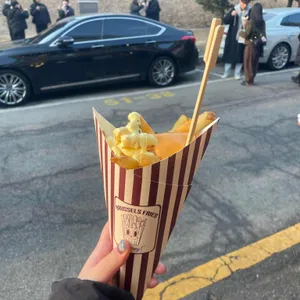 브뤼셀프라이 사진