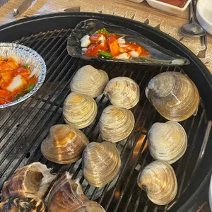 행운동조개 사진