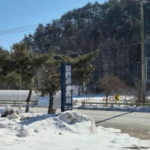 물안골송어회 리뷰 사진