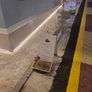 생각이나서 리뷰 사진