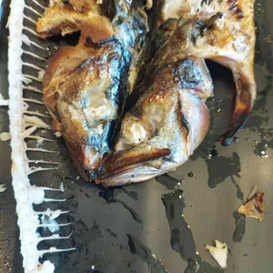 생선시절 사진