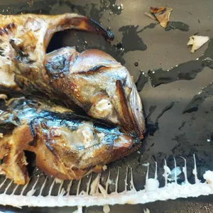 생선시절 사진