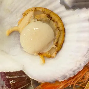 만선항조개집 사진