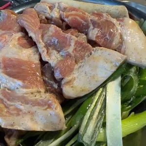 부속갈매기 사진