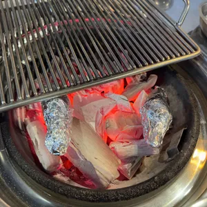 부속갈매기 사진
