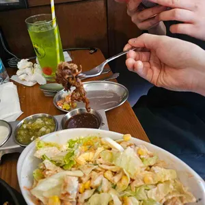 호세가 사진
