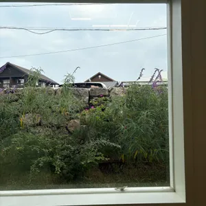 카페 도리로 리뷰 사진