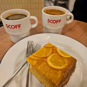 스코프 사진
