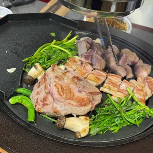 부산갈매기 사진