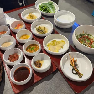 부산갈매기 사진