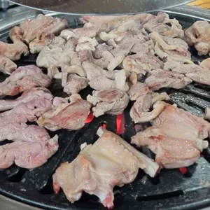 오리박사 사진