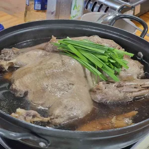 오리박사 사진