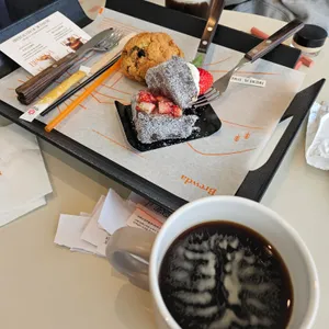 브루다 사진