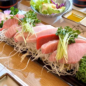 미미참치 사진