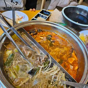 샤브20 사진